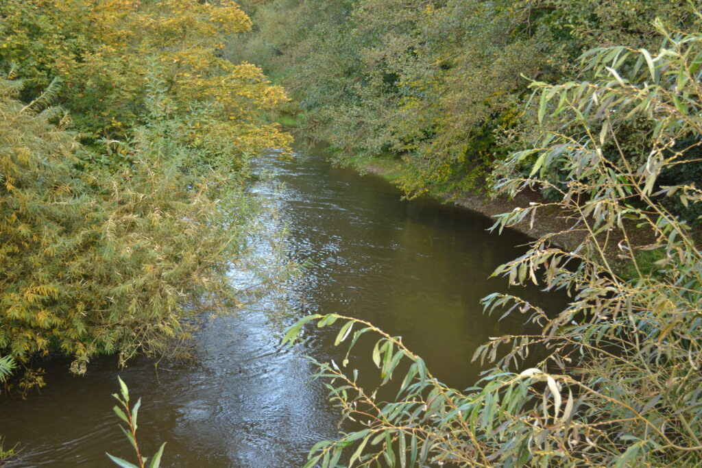 En å nær dalum 07-10-2025