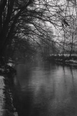 img (35)