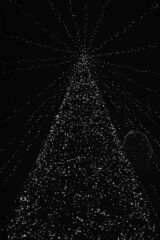 Img0013 20 683x1024 320x240