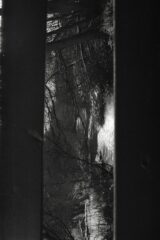 img0016